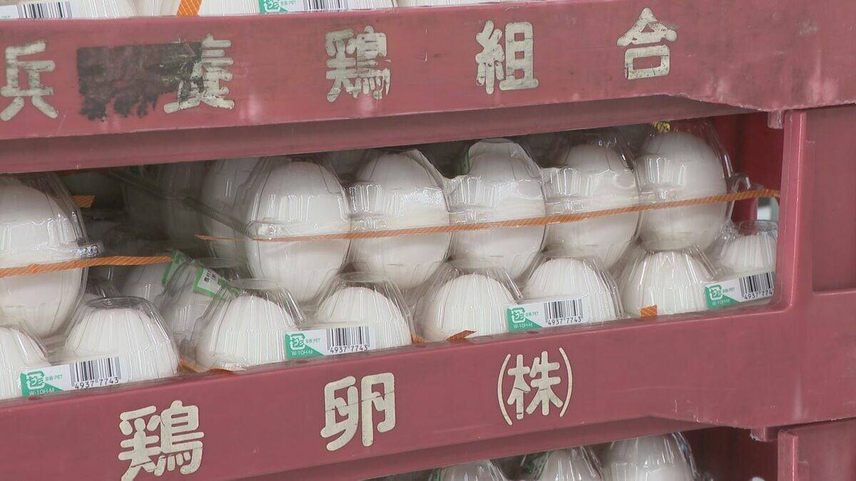 “家計の救世主”最安値が続く白菜 オススメ食材は劇的な値上がりのない国産牛肉や価格安定の豚肉