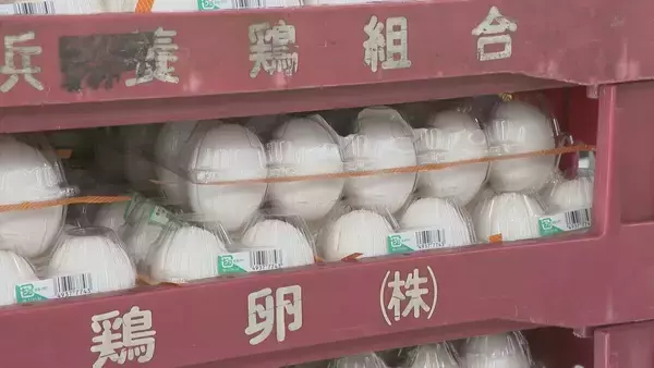 「“家計の救世主”最安値が続く白菜 オススメ食材は劇的な値上がりのない国産牛肉や価格安定の豚肉」の画像