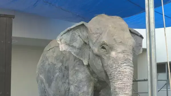 「去年7月に天国へ 多くの人に愛されたアジアゾウ｢ふじ子｣ 地元高校生が実物大の像を制作 4月12日の“ふじ子の生誕祭”でお披露目 愛知･岡崎市」の画像