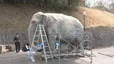 「去年7月に天国へ 多くの人に愛されたアジアゾウ｢ふじ子｣ 地元高校生が実物大の像を制作 4月12日の“ふじ子の生誕祭”でお披露目 愛知･岡崎市」の画像16
