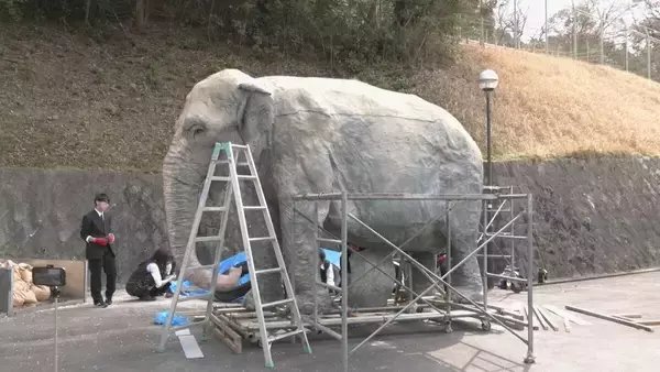 「去年7月に天国へ 多くの人に愛されたアジアゾウ｢ふじ子｣ 地元高校生が実物大の像を制作 4月12日の“ふじ子の生誕祭”でお披露目 愛知･岡崎市」の画像