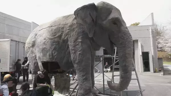 「去年7月に天国へ 多くの人に愛されたアジアゾウ｢ふじ子｣ 地元高校生が実物大の像を制作 4月12日の“ふじ子の生誕祭”でお披露目 愛知･岡崎市」の画像