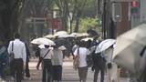 「三重･桑名は38.6℃を観測 全国一の暑さに… 名古屋も最高気温37.3℃ 屋内では冷房使用し こまめな水分･塩分補給を」の画像3