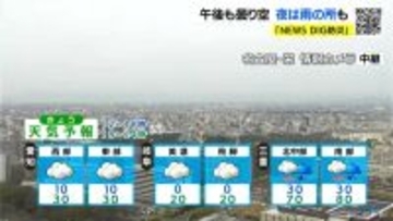 東海地方 夜は各地で雨予想  ｢花粉｣各地で大量飛散 あすも広く雨 愛知･名古屋･岐阜･三重の天気予報（3/2 昼）
