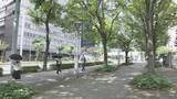 「名古屋･岐阜で30℃超の｢真夏日｣に 高山では36℃超で今年初の｢猛暑日｣ 思いがけない暑さに観光客も驚き」の画像1