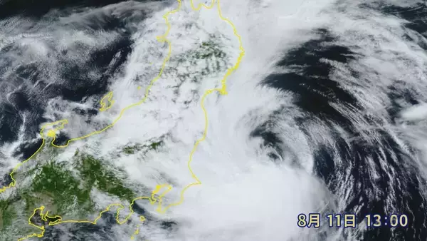「お盆休みの東海地方に台風15号直撃へ 名古屋駅では予定を早めて新幹線で東京へ帰る人たちも」の画像