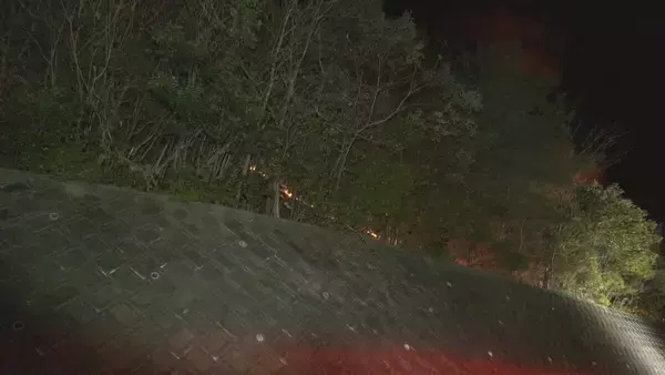 「山で炎が上がっている」愛知・岡崎市の産業廃棄物を扱う工場で火事　火は山林にも広がる　鎮圧は通報から約7時間後