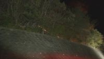 「山で炎が上がっている」愛知・岡崎市の産業廃棄物を扱う工場で火事　火は山林にも広がる　鎮圧は通報から約7時間後