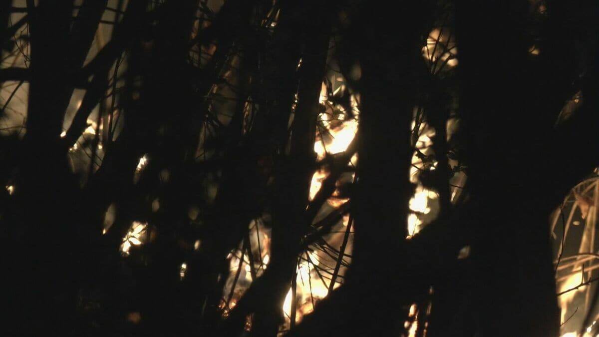 「山で炎が上がっている」愛知・岡崎市の産業廃棄物を扱う工場で火事　火は山林にも広がる　鎮圧は通報から約7時間後