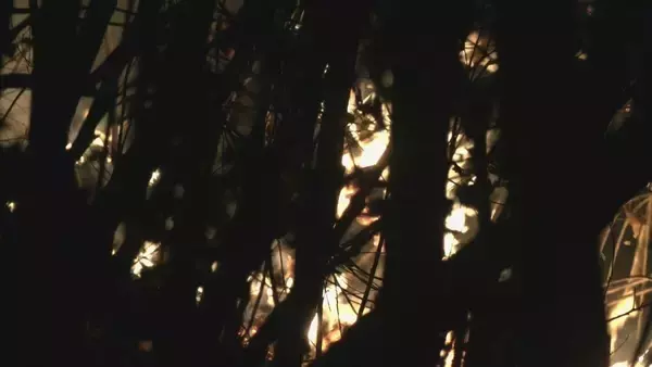 「「山で炎が上がっている」愛知・岡崎市の産業廃棄物を扱う工場で火事　火は山林にも広がる　鎮圧は通報から約7時間後」の画像