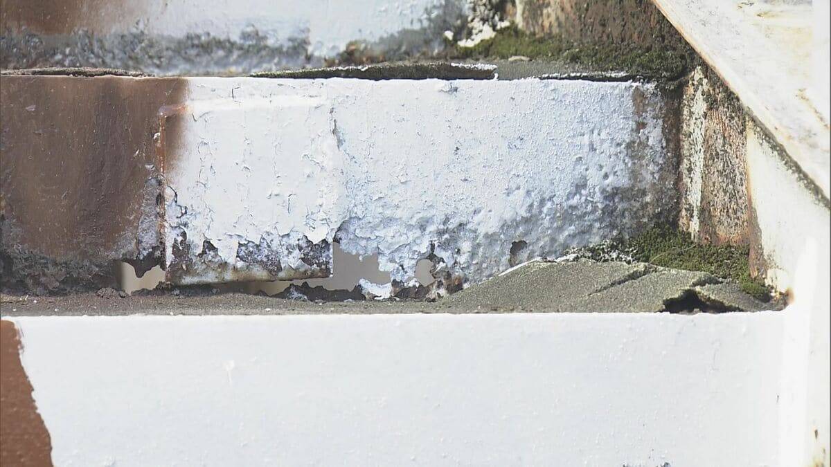 ｢守ってくれてありがとう｣ 園児らが撤去される歩道橋を“渡り納め” 感謝のメッセージや歌で別れ告げる 43年前に設置 老朽化や利用者の減少で