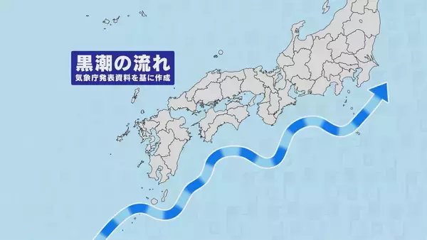 「｢黒潮大蛇行｣終息も伊勢エビ戻らず “天敵”ウツボが増えた…伊勢志摩の海の異変 アワビやサザエが姿消した“磯焼けの海”は回復するのか」の画像