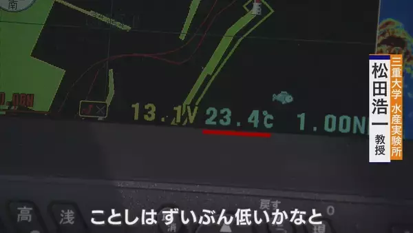 「｢黒潮大蛇行｣終息も伊勢エビ戻らず “天敵”ウツボが増えた…伊勢志摩の海の異変 アワビやサザエが姿消した“磯焼けの海”は回復するのか」の画像