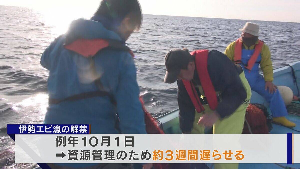 ｢黒潮大蛇行｣終息も伊勢エビ戻らず “天敵”ウツボが増えた…伊勢志摩の海の異変 アワビやサザエが姿消した“磯焼けの海”は回復するのか
