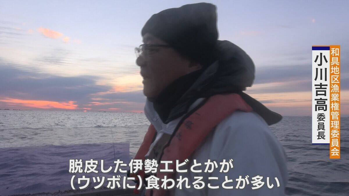 ｢黒潮大蛇行｣終息も伊勢エビ戻らず “天敵”ウツボが増えた…伊勢志摩の海の異変 アワビやサザエが姿消した“磯焼けの海”は回復するのか