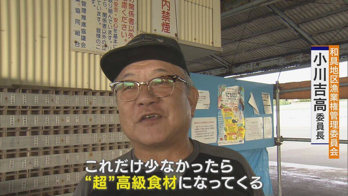 ｢黒潮大蛇行｣終息も伊勢エビ戻らず “天敵”ウツボが増えた…伊勢志摩の海の異変 アワビやサザエが姿消した“磯焼けの海”は回復するのか