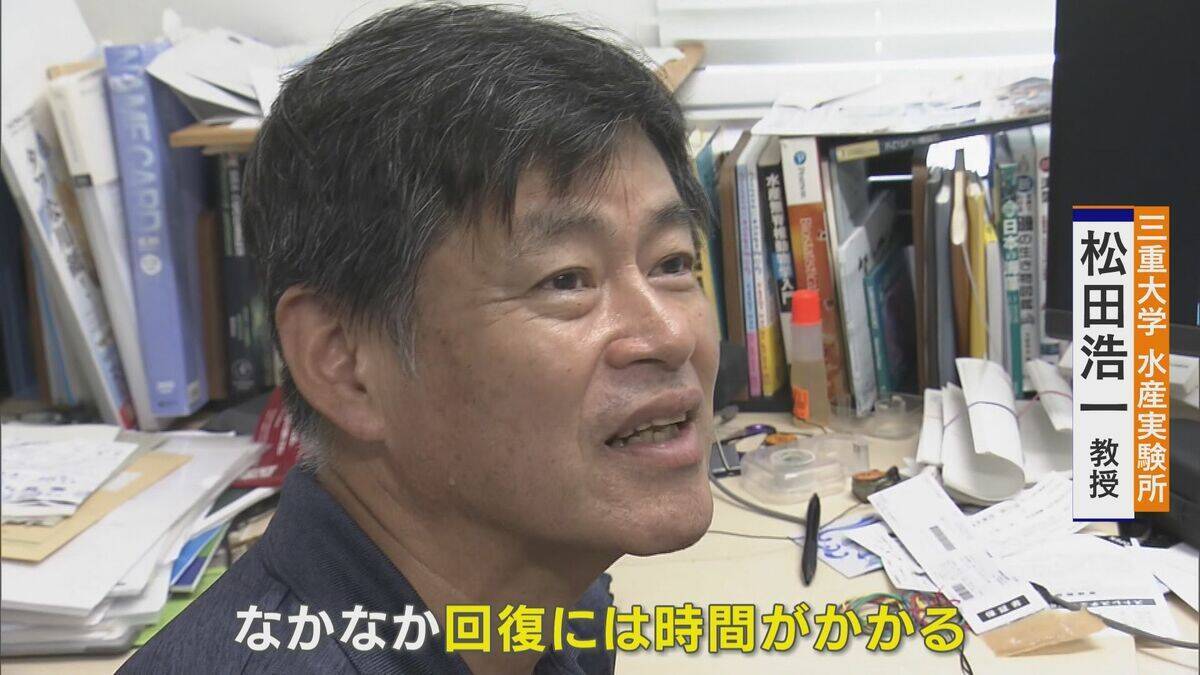 ｢黒潮大蛇行｣終息も伊勢エビ戻らず “天敵”ウツボが増えた…伊勢志摩の海の異変 アワビやサザエが姿消した“磯焼けの海”は回復するのか