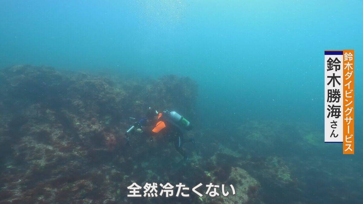 ｢黒潮大蛇行｣終息も伊勢エビ戻らず “天敵”ウツボが増えた…伊勢志摩の海の異変 アワビやサザエが姿消した“磯焼けの海”は回復するのか