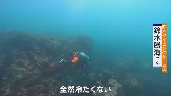 「｢黒潮大蛇行｣終息も伊勢エビ戻らず “天敵”ウツボが増えた…伊勢志摩の海の異変 アワビやサザエが姿消した“磯焼けの海”は回復するのか」の画像