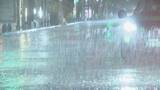 「東海地方 夕方にかけて大雨のおそれ これまでの最大時間雨量 名古屋市17ミリ 岐阜･大垣市や三重･伊賀市で20ミリ以上 河川の増水などに注意」の画像2
