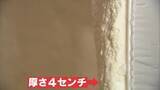 「数時間で建つ“簡易住宅” インスタントハウスがさらに進化 ｢ホームベーカリーみたいに箱の中で膨らませる｣ 軽い･安い･部品が少ない」の画像3