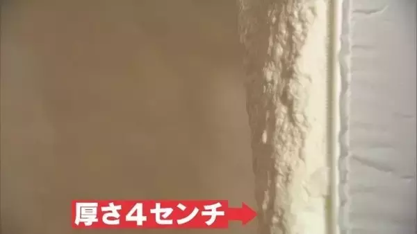 「数時間で建つ“簡易住宅” インスタントハウスがさらに進化 ｢ホームベーカリーみたいに箱の中で膨らませる｣ 軽い･安い･部品が少ない」の画像