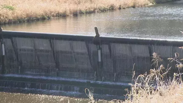 「来月中旬にもダム枯渇のおそれ…水不足でコメ作りに影響 栽培方法の試行錯誤も｢収穫出来なければ意味がない｣ 渇水調整協議会の開催も 愛知」の画像