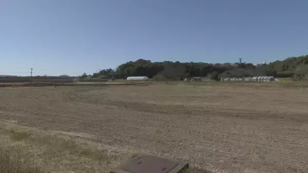 「来月中旬にもダム枯渇のおそれ…水不足でコメ作りに影響 栽培方法の試行錯誤も｢収穫出来なければ意味がない｣ 渇水調整協議会の開催も 愛知」の画像