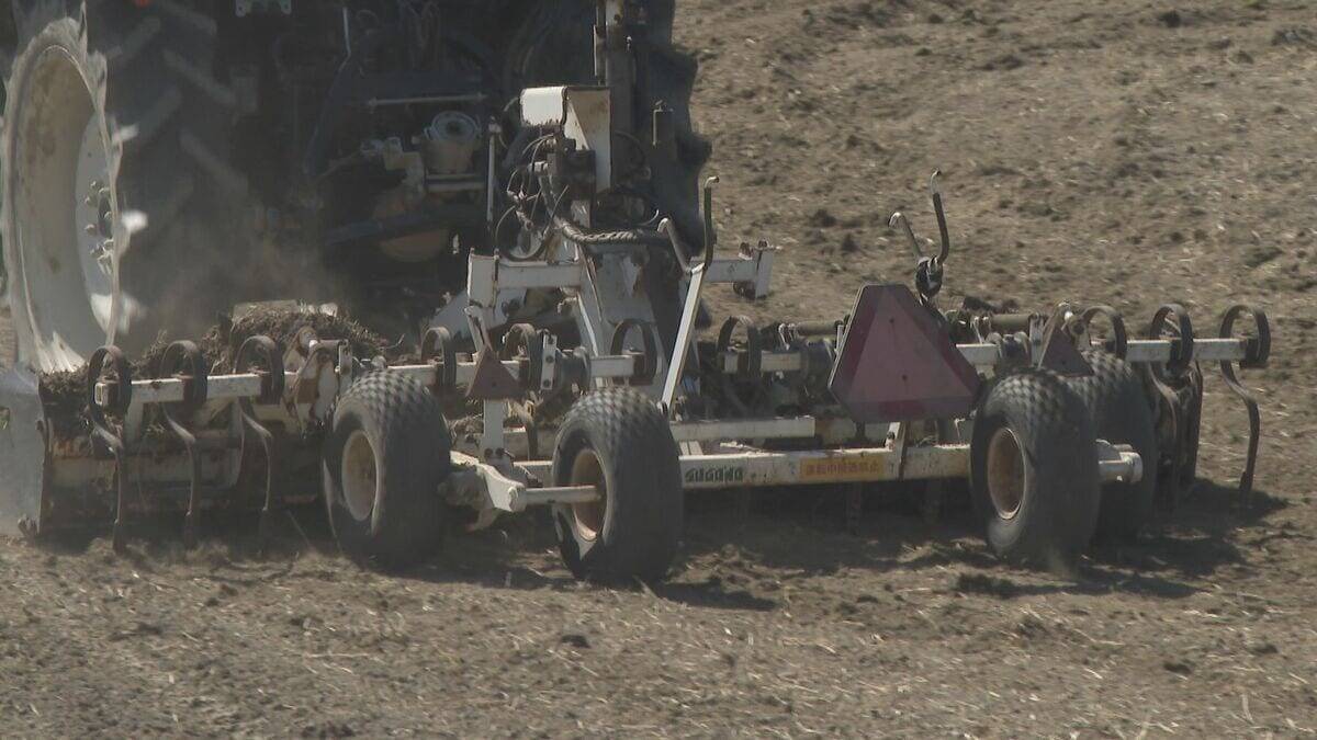 来月中旬にもダム枯渇のおそれ…水不足でコメ作りに影響 栽培方法の試行錯誤も｢収穫出来なければ意味がない｣ 渇水調整協議会の開催も 愛知