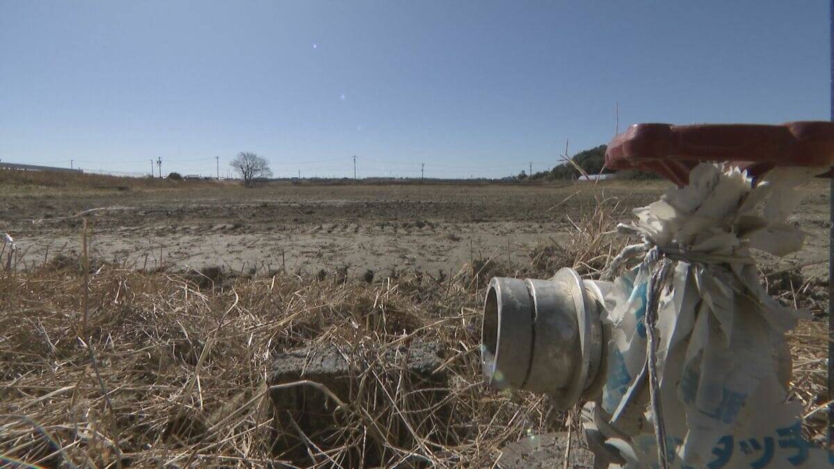 来月中旬にもダム枯渇のおそれ…水不足でコメ作りに影響 栽培方法の試行錯誤も｢収穫出来なければ意味がない｣ 渇水調整協議会の開催も 愛知