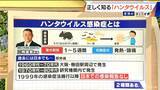 「ハンタウイルスって何？｢北米・南米型｣は致死率40%… 特効薬はあるの？感染経路は？専門家に聞く【解説】」の画像1