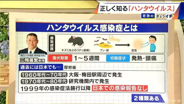 ハンタウイルスって何？｢北米・南米型｣は致死率40%… 特効薬はあるの？感染経路は？専門家に聞く【解説】