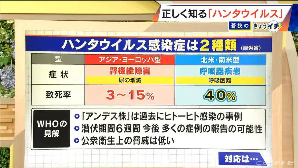 ハンタウイルスって何？｢北米・南米型｣は致死率40%… 特効薬はあるの？感染経路は？専門家に聞く【解説】
