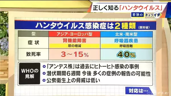 「ハンタウイルスって何？｢北米・南米型｣は致死率40%… 特効薬はあるの？感染経路は？専門家に聞く【解説】」の画像
