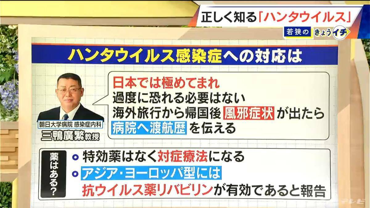 ハンタウイルスって何？｢北米・南米型｣は致死率40%… 特効薬はあるの？感染経路は？専門家に聞く【解説】