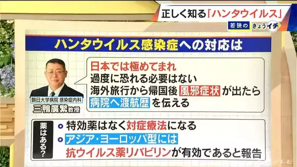 「ハンタウイルスって何？｢北米・南米型｣は致死率40%… 特効薬はあるの？感染経路は？専門家に聞く【解説】」の画像