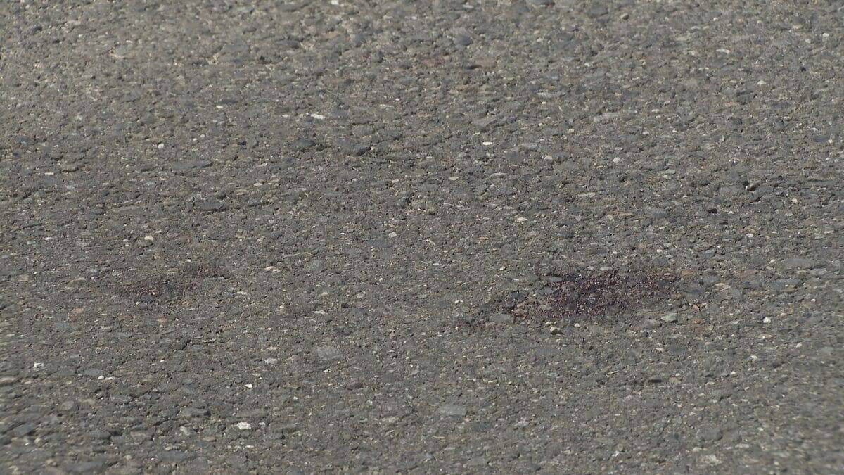 元従業員の男性（58）を車で連れ去り公園で引きずり倒して車ではねた上その場に放置…　男（44）を再逮捕　男性は現在も意識不明の重体　名古屋・天白区