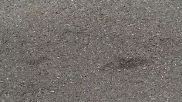 「元従業員の男性（58）を車で連れ去り公園で引きずり倒して車ではねた上その場に放置…　男（44）を再逮捕　男性は現在も意識不明の重体　名古屋・天白区」の画像