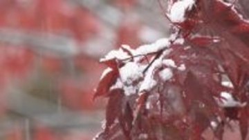 名古屋は午後もおおむね晴れ  岐阜県飛騨地方は夕方まで雨の予想 奥飛騨温泉郷では雪と紅葉の競演（11/3昼 天気）