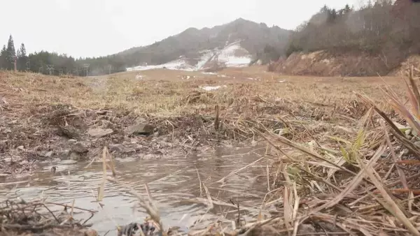 「スキー場が雪不足でオープン延期 ｢1センチでも多く雪が降ってくれれば｣ 場内のカフェやレストランも営業を見送りに 岐阜･飛騨市」の画像