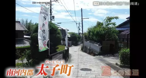 「古道を辿ると“地名の由来”が分かる！？日本書紀にも記された日本最古の官道「竹内街道」【道との遭遇】」の画像