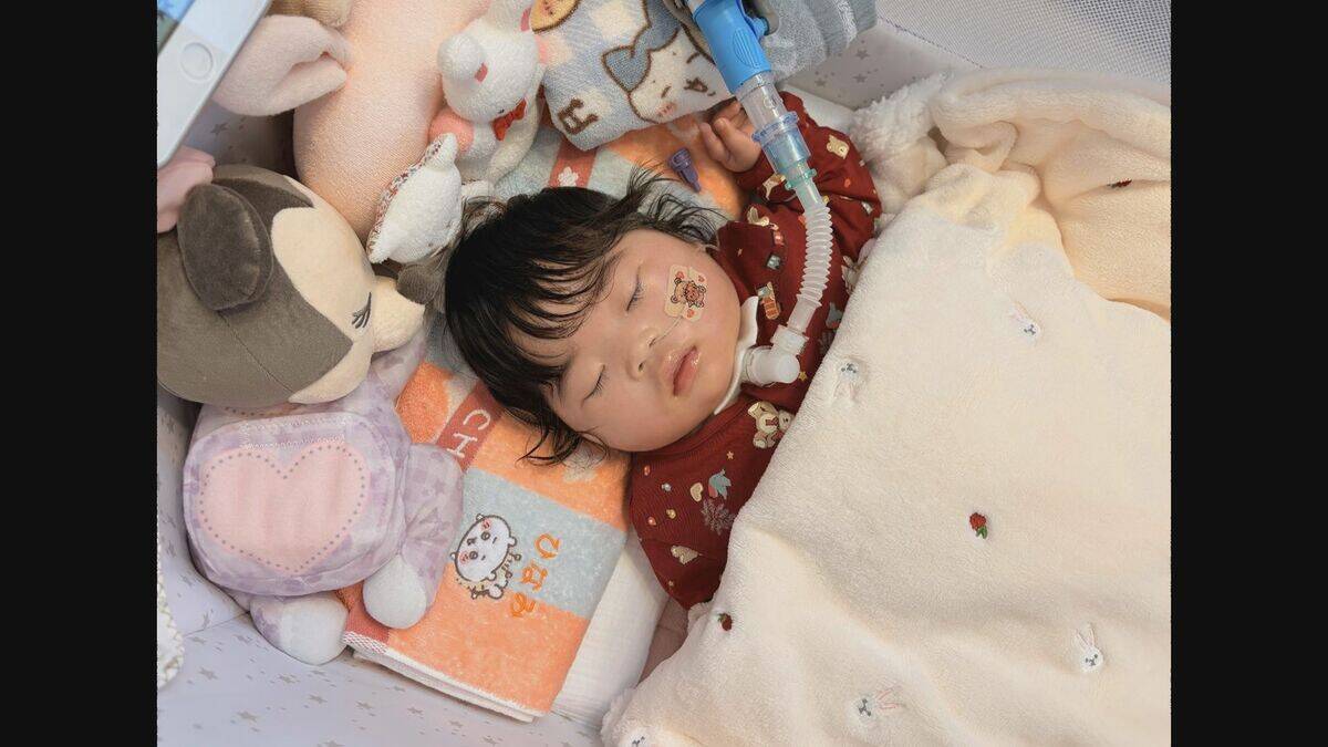 はねられた妊婦は死亡…赤ちゃんにも障害残る 運転していた50歳女の裁判 検察が禁錮3年求刑 ｢9秒間 前方左右注視せず、操作を怠ったのは故意にも匹敵｣