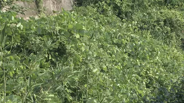 「川岸で見つかった女性2人の遺体 死亡したのは伊賀市の親子が行方不明になった2月頃か 遺体は白骨化… 死因の特定には至らず」の画像