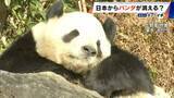 「日本からパンダが消える？来年1月から｢ゼロパンダ｣状態に…パンダが再び日本に来るのが厳しい“3つの理由”も」の画像1