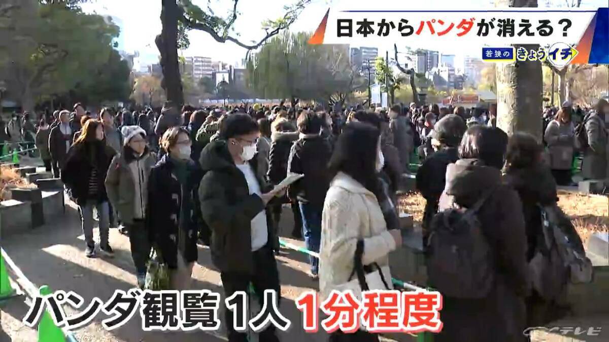 日本からパンダが消える？来年1月から｢ゼロパンダ｣状態に…パンダが再び日本に来るのが厳しい“3つの理由”も