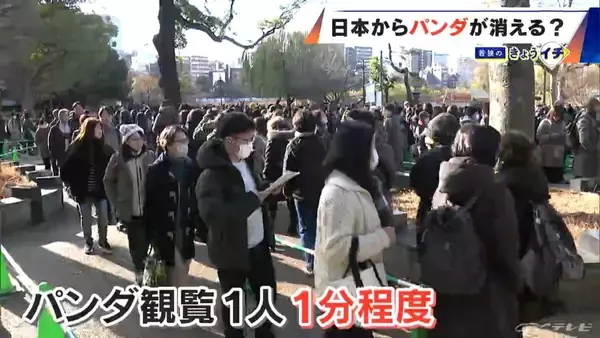 「日本からパンダが消える？来年1月から｢ゼロパンダ｣状態に…パンダが再び日本に来るのが厳しい“3つの理由”も」の画像