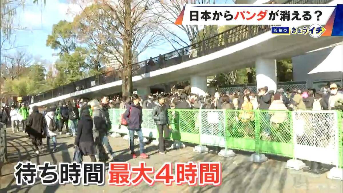 日本からパンダが消える？来年1月から｢ゼロパンダ｣状態に…パンダが再び日本に来るのが厳しい“3つの理由”も