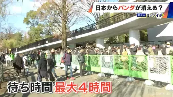 「日本からパンダが消える？来年1月から｢ゼロパンダ｣状態に…パンダが再び日本に来るのが厳しい“3つの理由”も」の画像