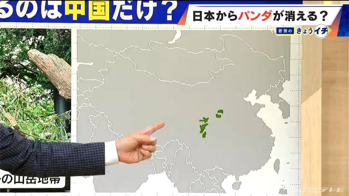 日本からパンダが消える？来年1月から｢ゼロパンダ｣状態に…パンダが再び日本に来るのが厳しい“3つの理由”も