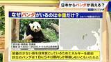 「日本からパンダが消える？来年1月から｢ゼロパンダ｣状態に…パンダが再び日本に来るのが厳しい“3つの理由”も」の画像5